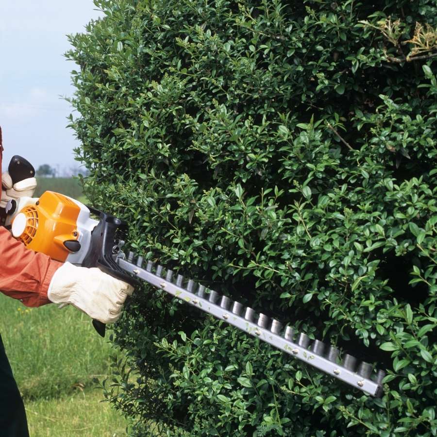 To enhance curb appeal effectively, proficient shaping of trees and shrubs plays an important role in defining the landscape's aesthetic quality and structural integrity.