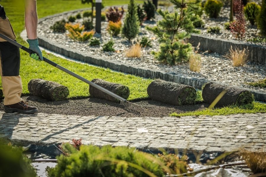 Professional Lawn and Garden Care Backed by Trusted Landscape Experts