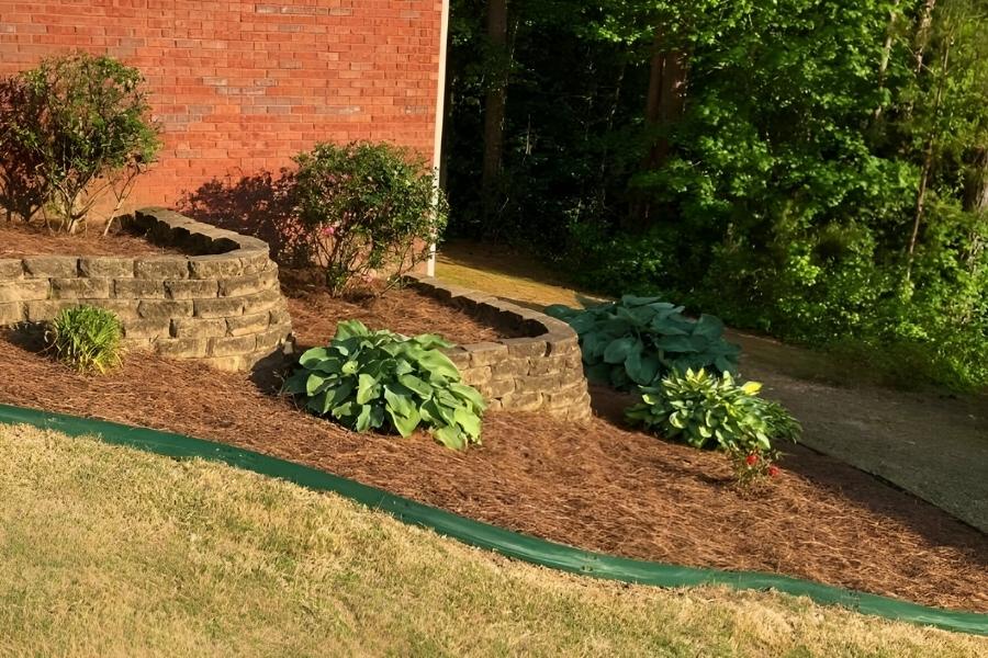 Expert Pine Straw Application That Retains Moisture and Blocks Weeds