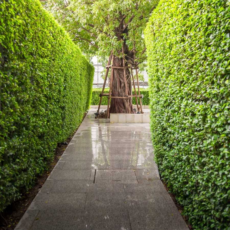 While considering the enhancement of your outdoor living space, professional installation of outdoor structures offers a level of precision and durability that DIY projects often lack.