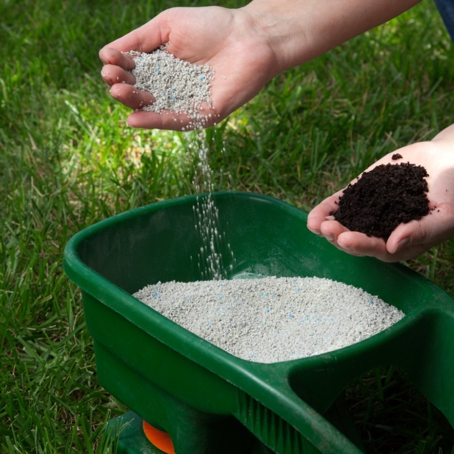 Seasonal fertilization strategies are essential for maintaining the vigor and aesthetic appeal of your lawn throughout the year, as they take into account the unique requirements of different growth phases and environmental conditions.