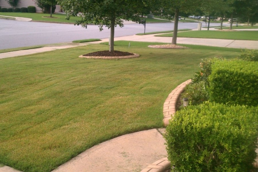 Reputable Landscaping Service in Bluffton, SC for Patios and Plant Design